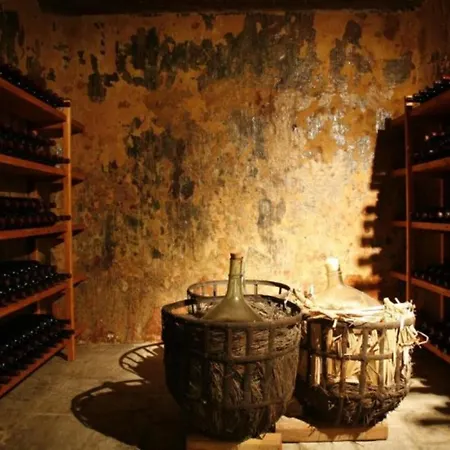 Cozy Brand New In The Heart Of Apartment