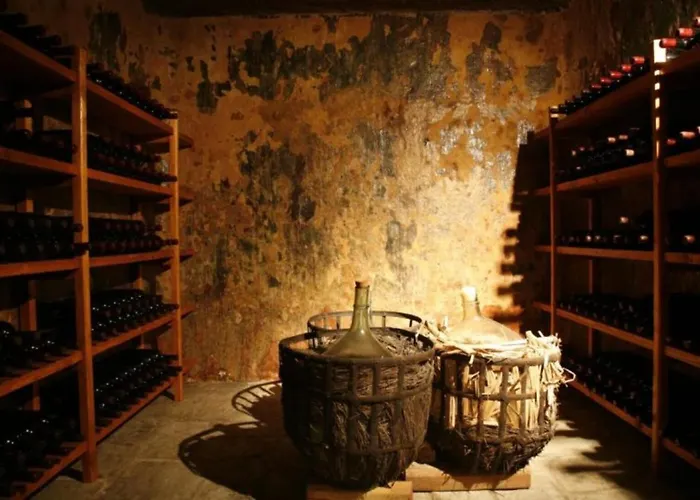 Cozy Brand New In The Heart Of شقة